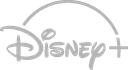Works with Disney Plus